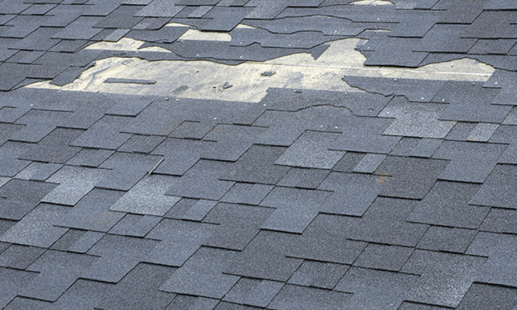 7 Signs Your Shingles Are Nearing the End of Their Life Image