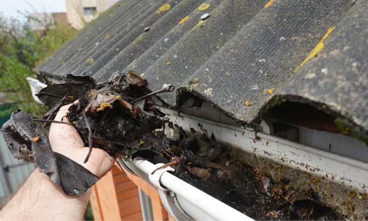 Gutter Cleaning Services Zionsville IN