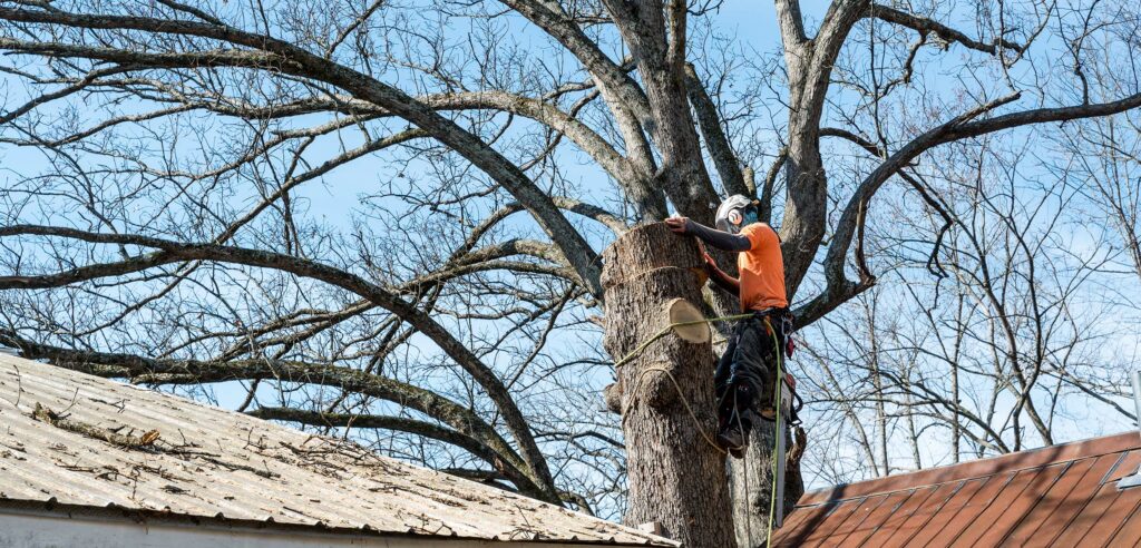 Steps to Protect Your Roof From Storm Damage | Hampton Roads