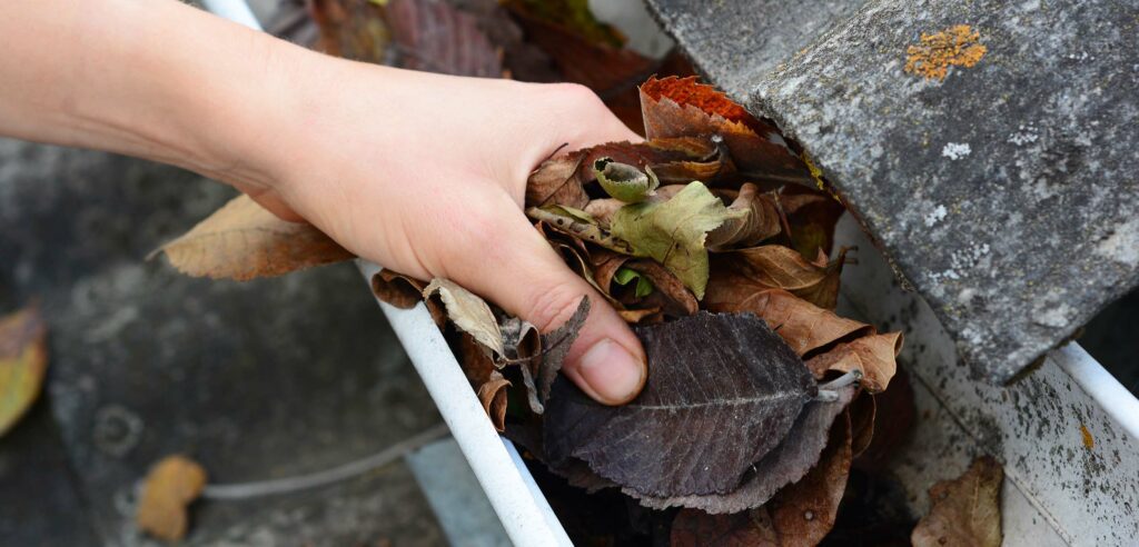 How Often Should You Clean Your Gutters? Image