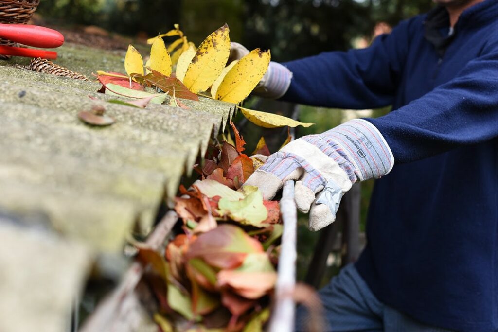 Worker on ladder cleaning leaves from gutter.