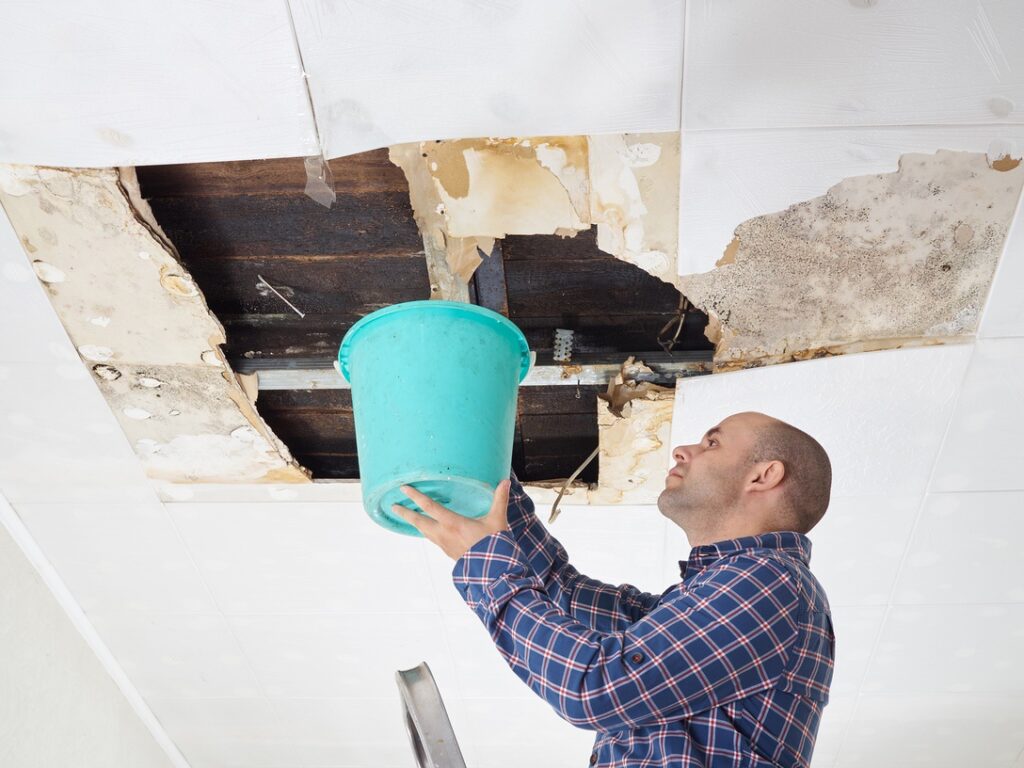 Man Collecting Water In Bucket From Ceiling. Ceiling panels damaged  huge hole in roof from rainwater leakage.Water damaged ceiling .