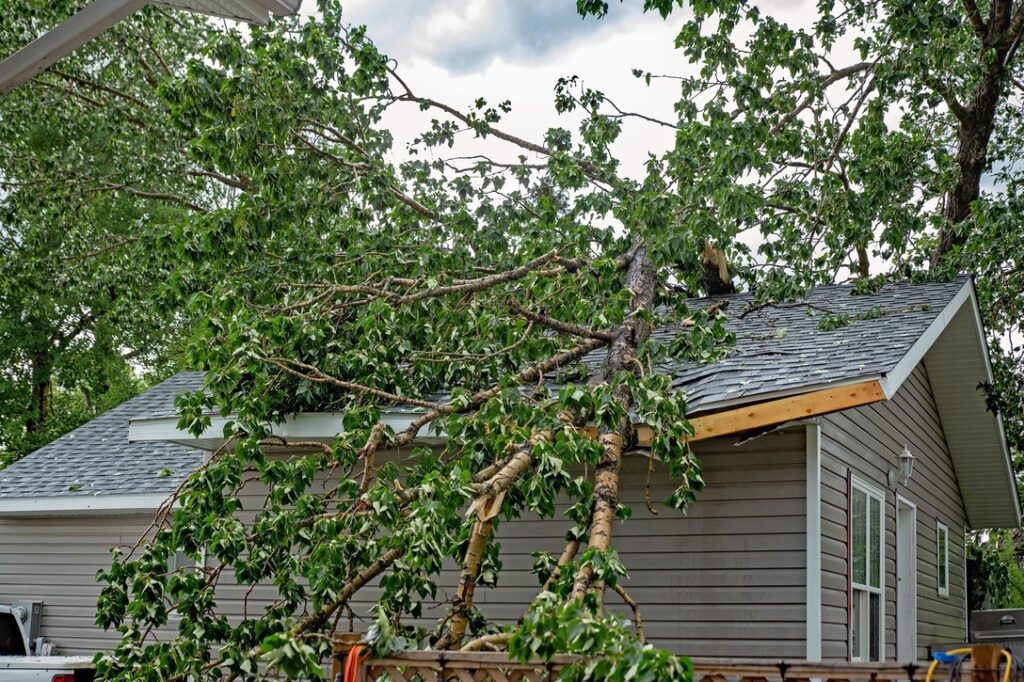 A large tree with green leaves fallen on a residential rooftop during a summer storm