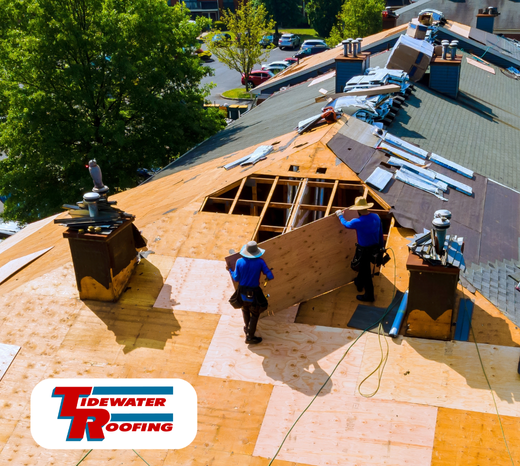 Spring Is Right Around The Corner: Why the Off-Season is the Best Time To Replace Your Commercial Roof by Emmit at Tidewater Roofing Spring Is Right Around The Corner: Why the Off-Season is the Best Time To Replace Your Commercial Roof Image