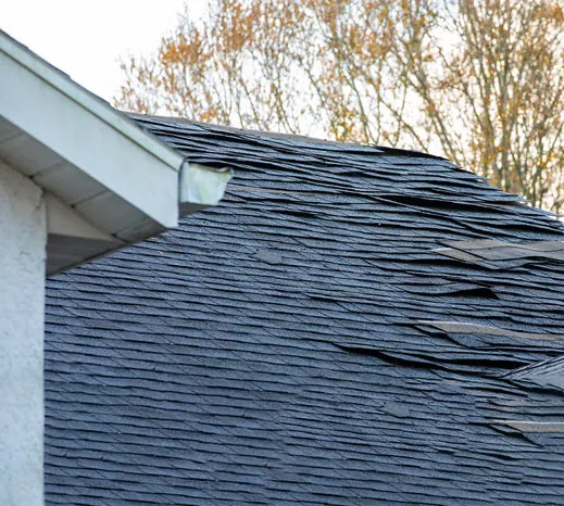 10 Common Types of Damage Found on Virginia Roofs (& How to Spot It) by Emmit at Tidewater Roofing 10 Common Types of Damage Found on Virginia Roofs (& How to Spot It) Image